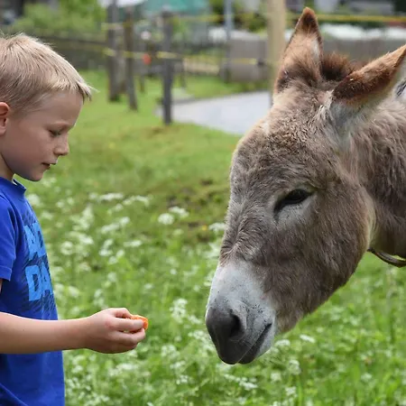 Farm stay Schiltenhof Schlafen Im Stroh *